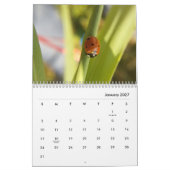 Macrofotografie-agenda Kalender (Jan 2027)