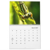 Macrofotografie-agenda Kalender (Mar 2027)