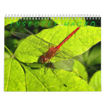 Macrofotografie-agenda