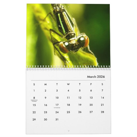 Macrofotografie-agenda Kalender (Mar 2026)