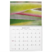 Macrofotografie-agenda Kalender (Mar 2027)