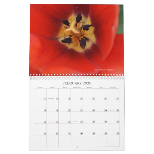 Macrofotografie-agenda Kalender (Feb 2026)