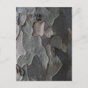 Macrofotografie boomschors briefkaart