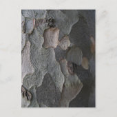 Macrofotografie boomschors briefkaart (Voorkant)