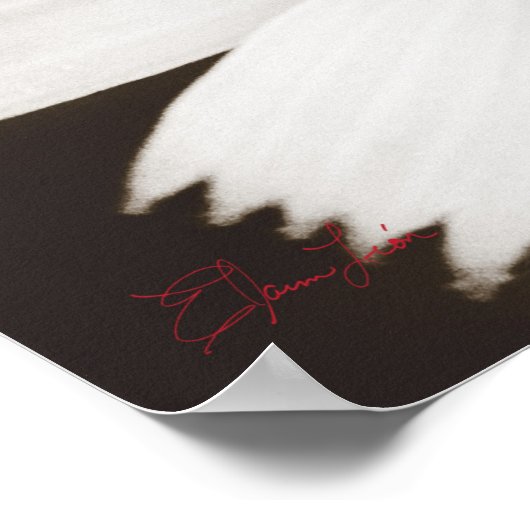 Macrofotografie met zwarte en witte ventilator poster (Hoek)