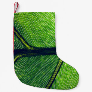 Macrofotografie van groen blad kleine kerstsok