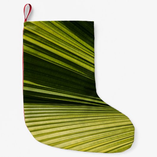 Macrofotografie van groen blad kleine kerstsok (Voorkant)