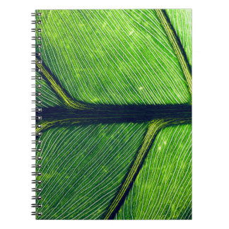 Macrofotografie van groen blad notitieboek