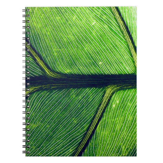 Macrofotografie van groen blad notitieboek (Voorkant)