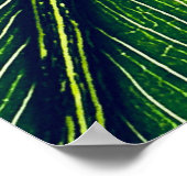Macrofotografie van groen blad poster (Hoek)