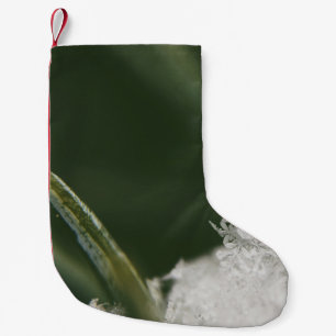 Macrofotografie van nu kristallen kleine kerstsok