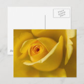 Macrogeel Rose Briefkaart (Voorkant / Achterkant)