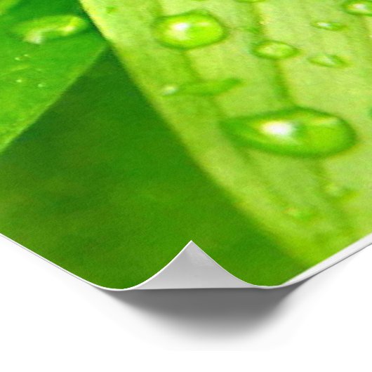 macrogroen poster (Hoek)