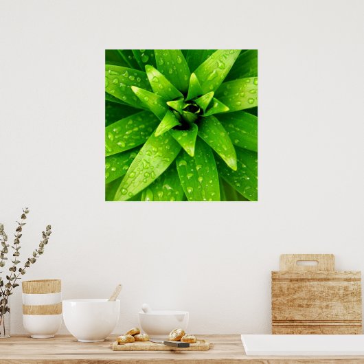 macrogroen poster (Keuken)