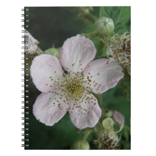 MacroNotitieboek Blackberry Flower Notitieboek (Voorkant)