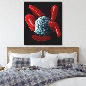 Macrophage Canvas Afdruk (Insitu (Slaapkamer))