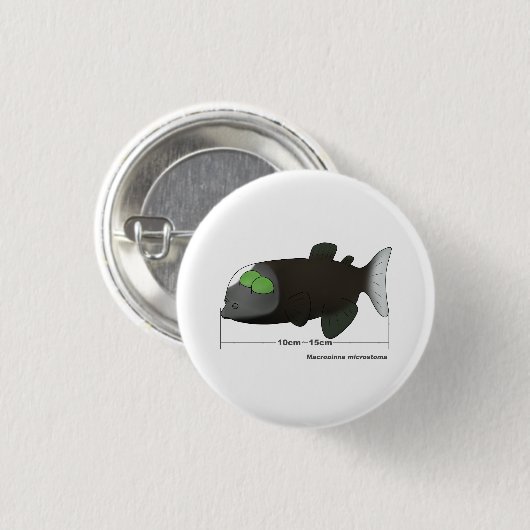 Macropinna microstoma werkelijke grootte ronde button 3,2 cm (Voorkant /achterkant)