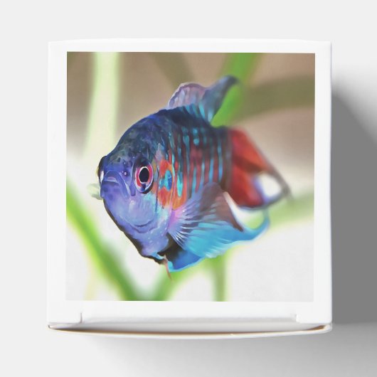 Macropodus Opercularis Aquarium vis Bedankdoosjes (Bovenkant)