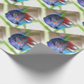 Macropodus Opercularis Aquarium vis Cadeaupapier (Hoek)