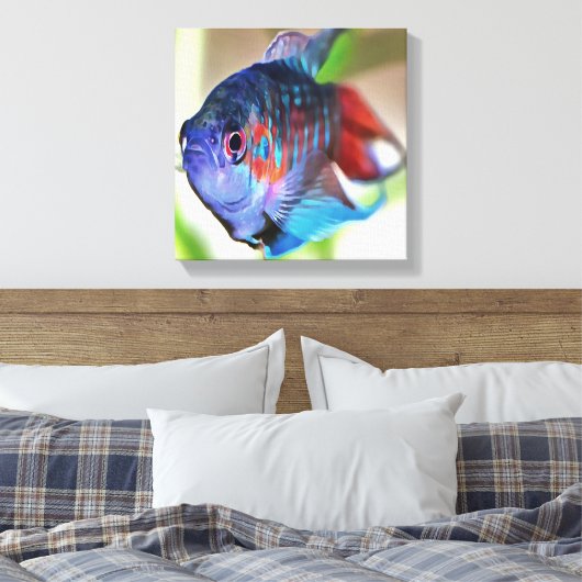 Macropodus Opercularis Aquarium vis Canvas Afdruk (Insitu (Slaapkamer))