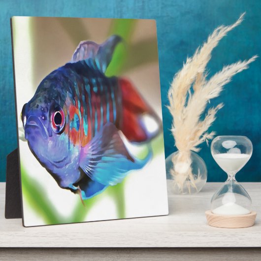 Macropodus Opercularis Aquarium vis Fotoplaat (Zijkant)