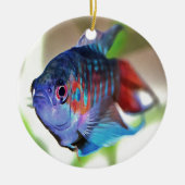 Macropodus Opercularis Aquarium vis Keramisch Ornament (Voorkant)