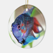 Macropodus Opercularis Aquarium vis Keramisch Ornament (Links)