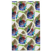 Macropodus Opercularis Aquarium vis Klein Cadeauzakje (Achterkant)