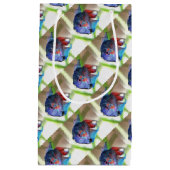 Macropodus Opercularis Aquarium vis Klein Cadeauzakje (Voorkant)