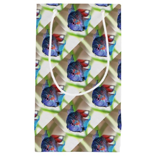 Macropodus Opercularis Aquarium vis Klein Cadeauzakje (Voorkant)