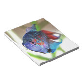 Macropodus Opercularis Aquarium vis Notitieblok (Schuin)