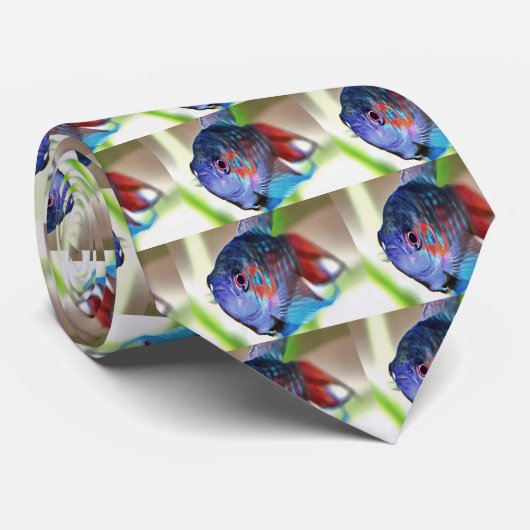 Macropodus Opercularis Aquarium vis Stropdas (Opgerold)