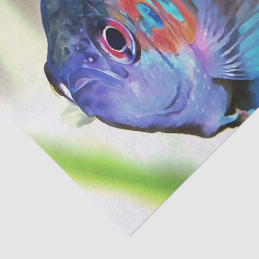 Macropodus Opercularis Aquarium vis Tissuepapier (Detail)