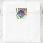 Macropodus Opercularis Aquarium vis Vierkante Sticker (Tas)