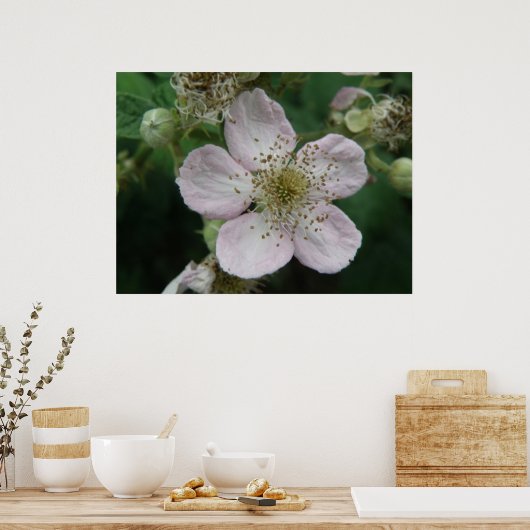 MacroPoster Blackberry Flower Poster (Keuken)