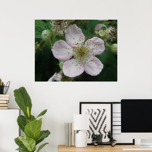 MacroPoster Blackberry Flower Poster (Thuiskantoor)