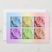 MacroregenboogRozen Kaart (Achterkant)