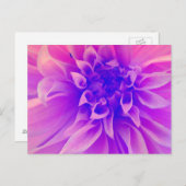 Macrorororororoze ventilator briefkaart (Voorkant / Achterkant)