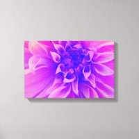 Macrorororororoze ventilator