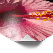 Macrororororoze Hibiscus Flower Foto Afdruk (Hoek)
