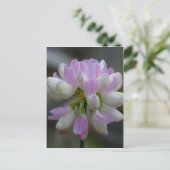 Macrororororoze wilde bloemen briefkaart (Staand voorkant)