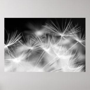 Macroschoonheid van Dandelion Poster