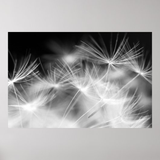 Macroschoonheid van Dandelion Poster (Voorkant)