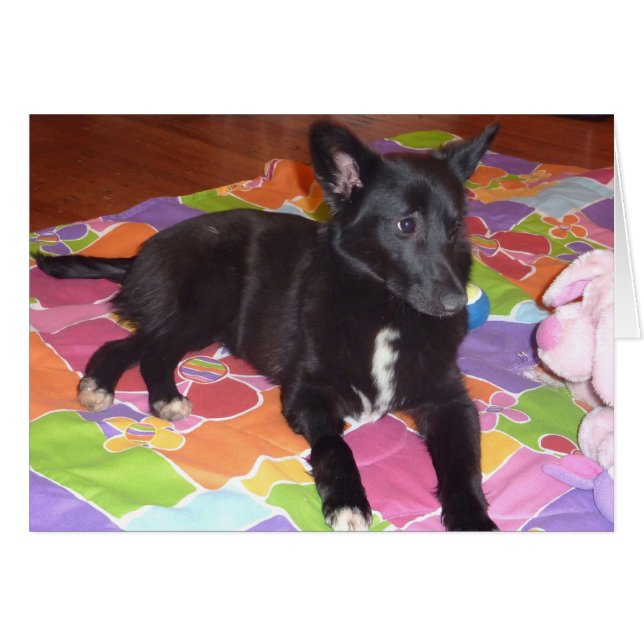 Macy (Voorkant Horizontaal)