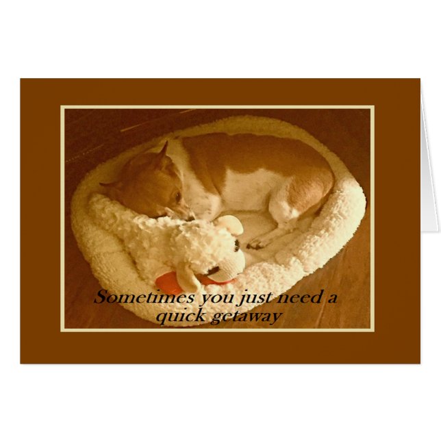 "Macy with Lamb Chop" 5 x 7 Kaart met envelop (Voorkant Horizontaal)