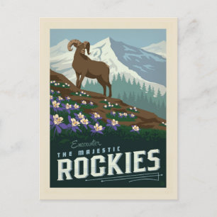 Macy's Flower Show   Rockies Briefkaart
