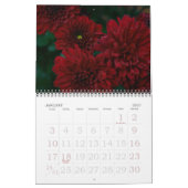 Mad About Mum, 2008 Kalender (Jan 2027)