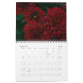 Mad About Mum, 2008 Kalender (Jan 2026)