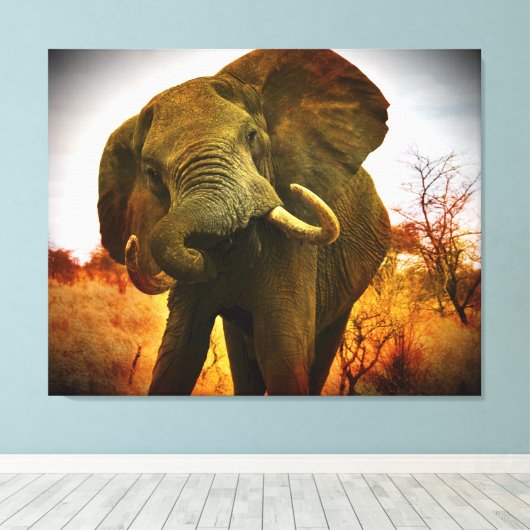 Mad African Elephant Wrapped Canvas (Insitu (Houten vloer))