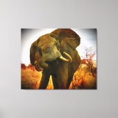 Mad African Elephant Wrapped Canvas (Voorkant)